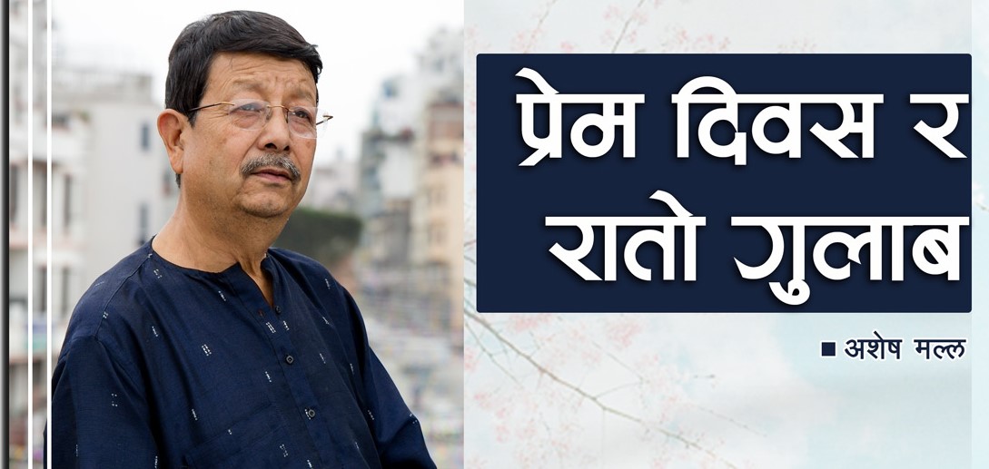 प्रेम दिवस र रातो गुलाब