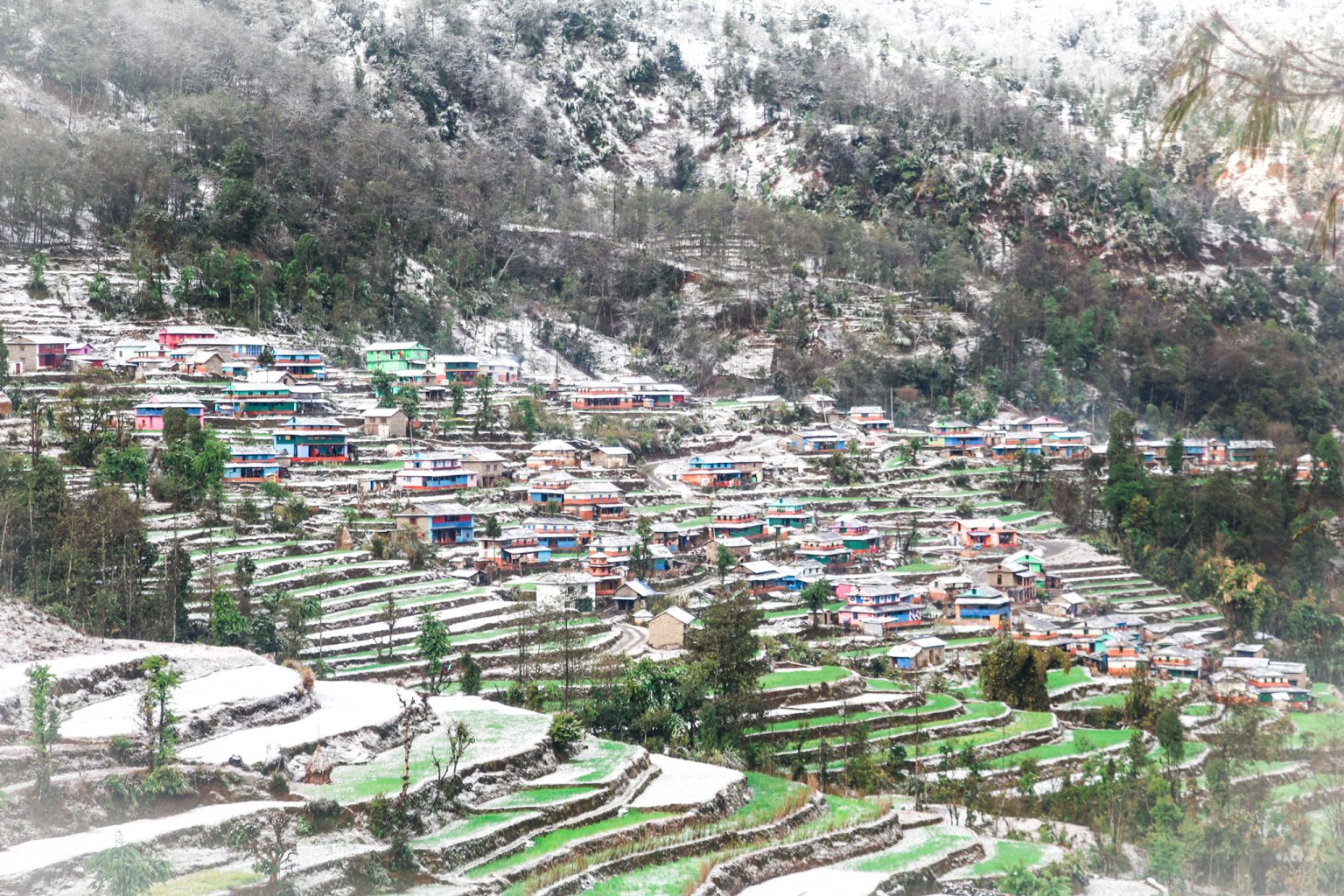 बागलुङको माथिल्लो क्षेत्रमा भारी हिमपात, जनजीवन कष्टकर