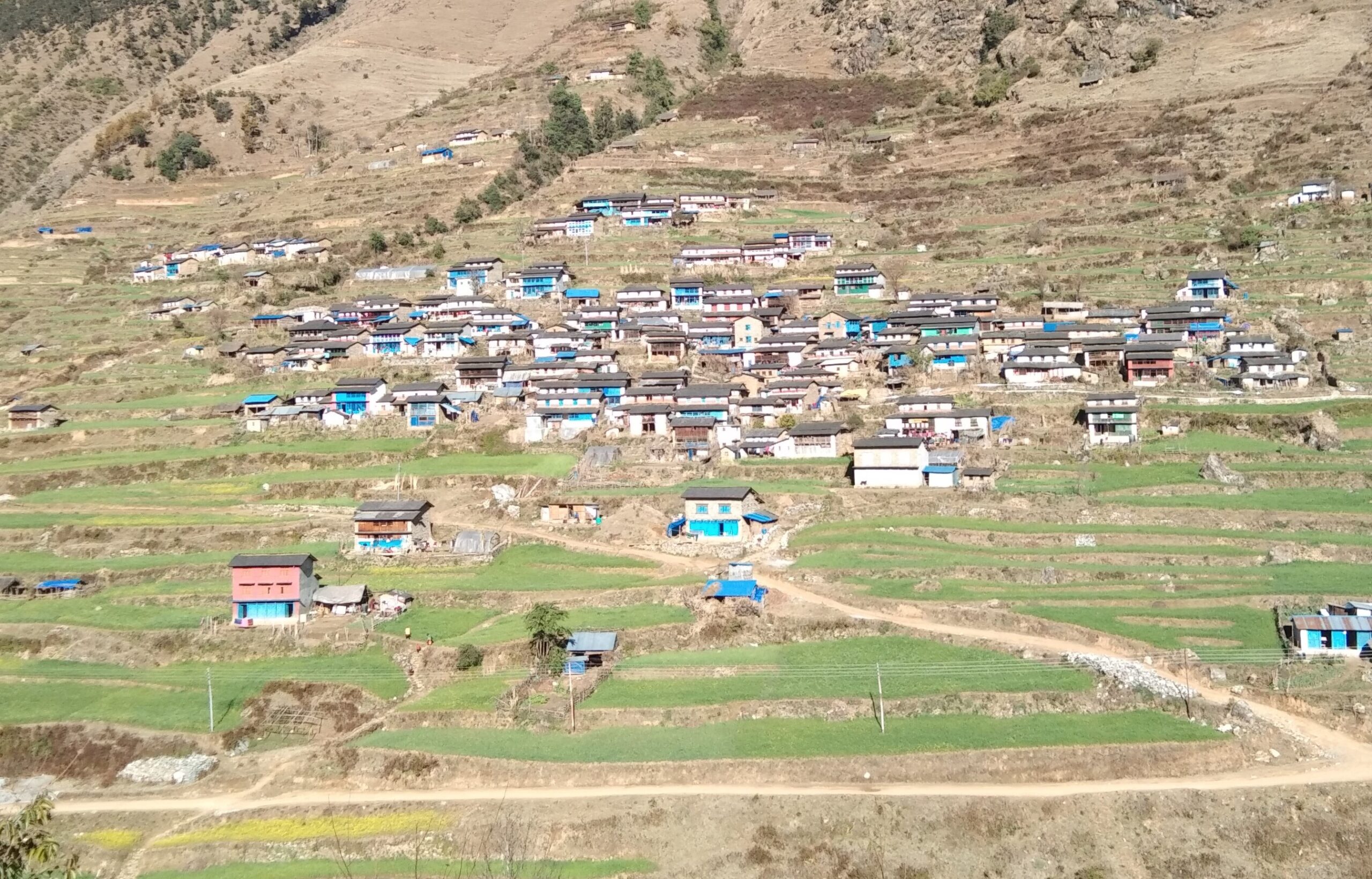 तमानखोलाका सबै घरमा एकै प्रकारको रंग