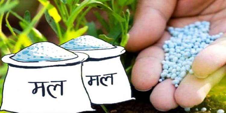 मल अभावको पिडामा कृषक