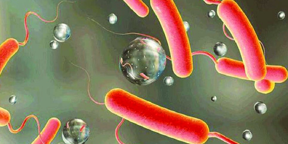 बागलुङमा परीक्षण गरिएका ८४ नमुनामध्ये अधिकांश पानीमा ‘कोलीफर्म’ भेटियो