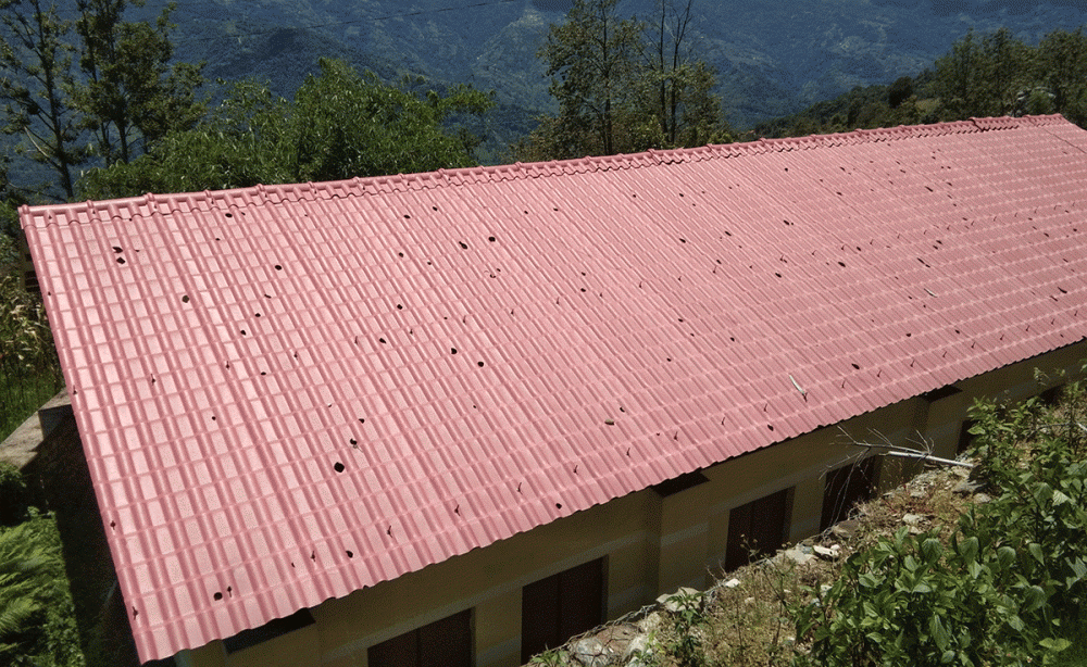 विद्यालयको छानामा कमसल सामग्री प्रयोग, संस्था र सप्लार्यविरुद्व अख्तियारमा उजुरी