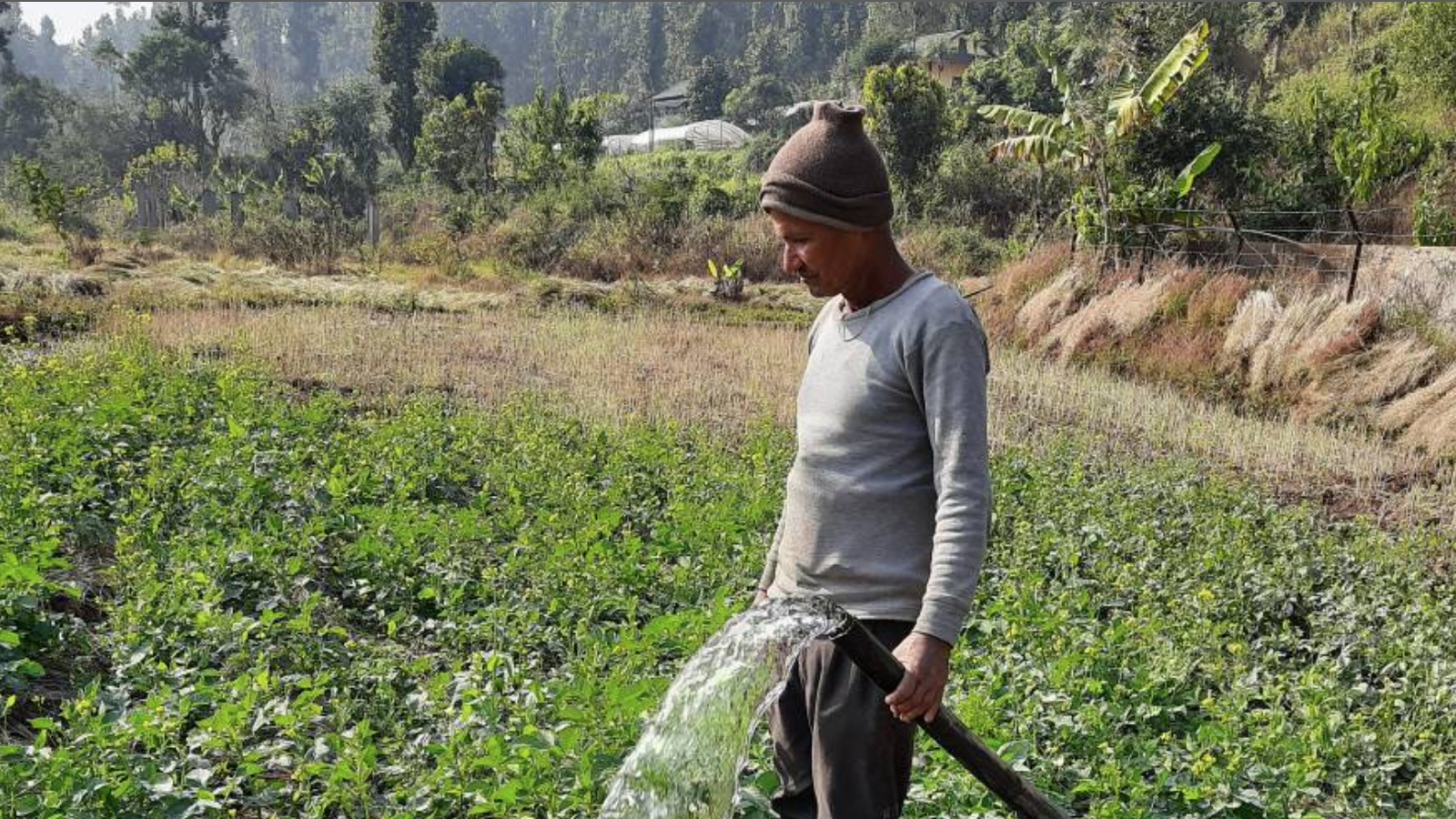 पानी नपर्दा सुक्खापन बढ्यो, हिउँदे बालीलाई असर