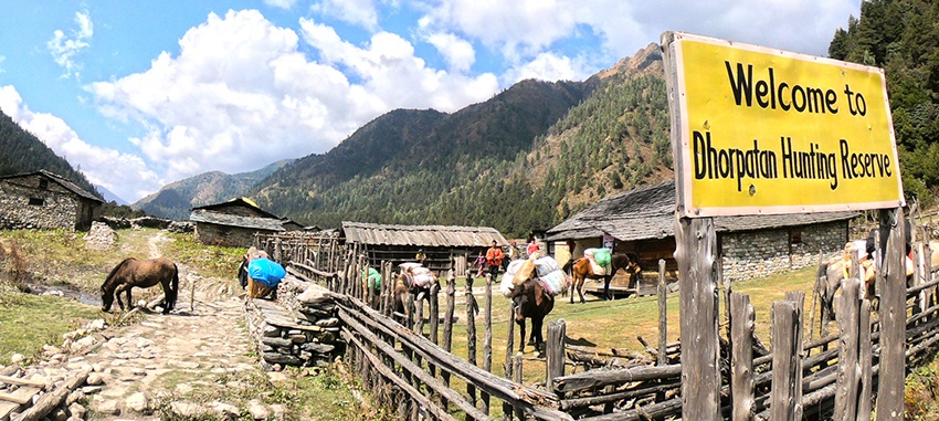 ढोरपाटनमा प्रतिष्पर्धाबाट शिकार गराउन प्रस्ताव आह्वान
