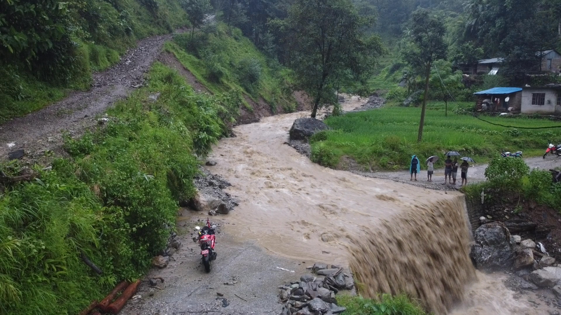 वर्षेनि २५ लाख मेट्रिक टन माटो बाढीमा बिलिन