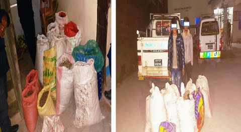 अबैध जडिबुटीसहित दुई जना पक्राउ