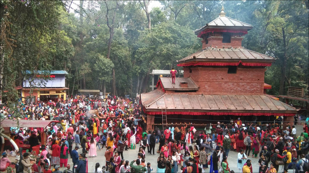 कात्तिक महिनामा कालीका मन्दिरको कारोवार ४८ लाखभन्दा बढी