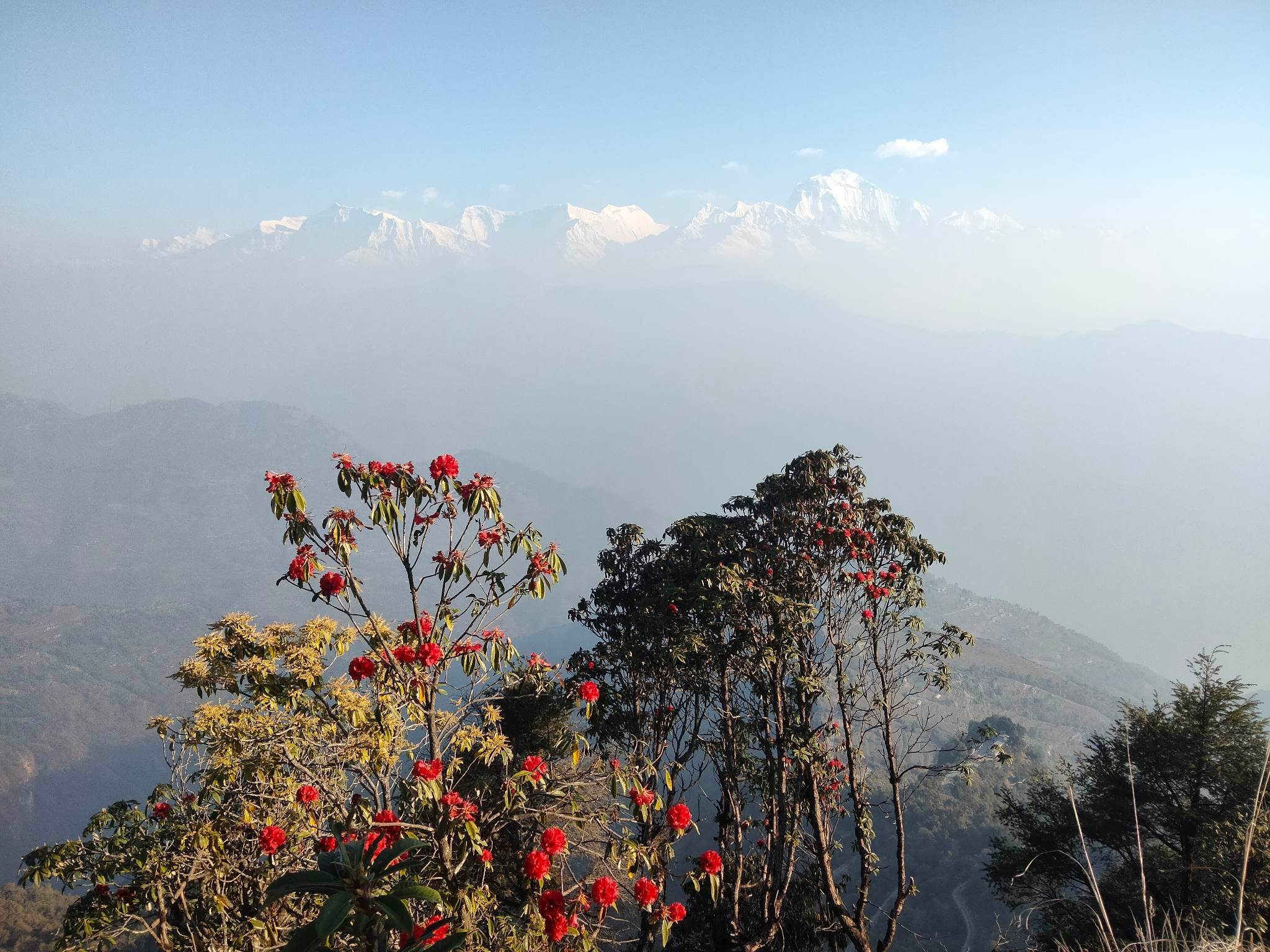 आजदेखि विक्रम सम्वत् २०८० साल शुरु