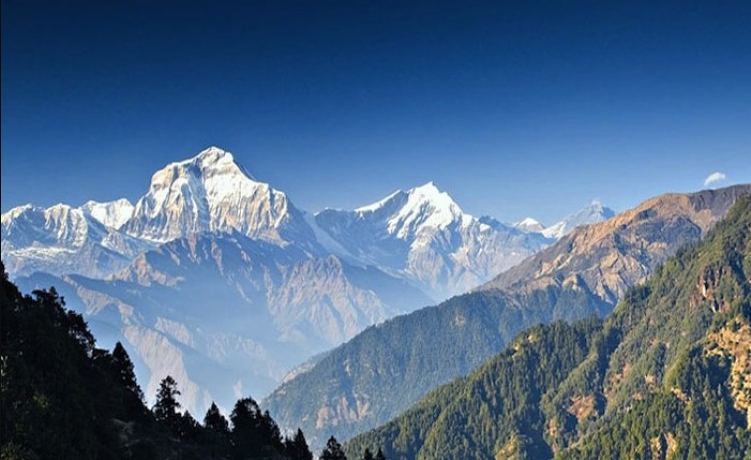 आठ जना आरोहीले गरे धौलागिरि हिमालको सफल आरोहण