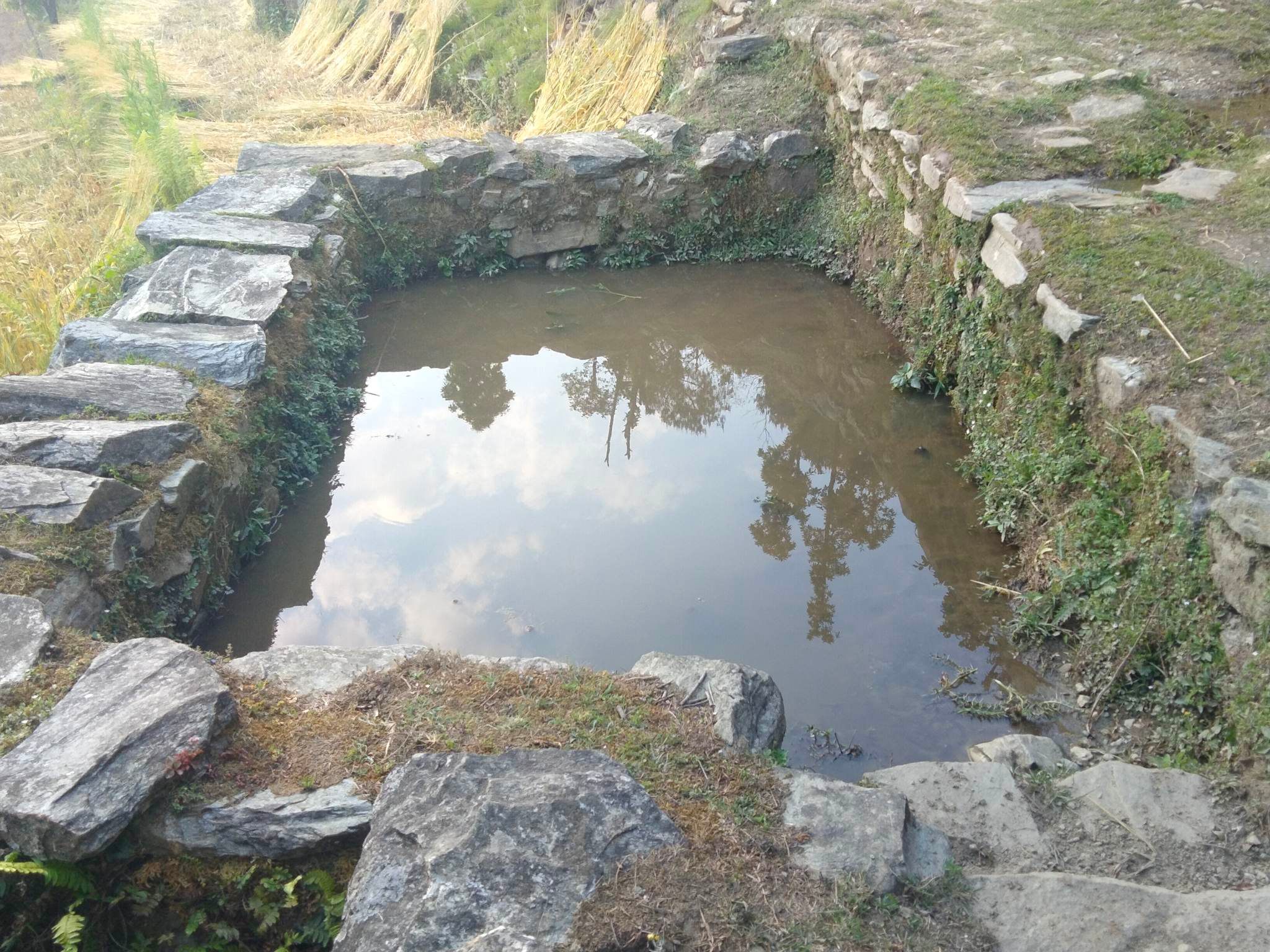 पानीका मुहान जोगाउन पोखरी संरक्षण अभियान