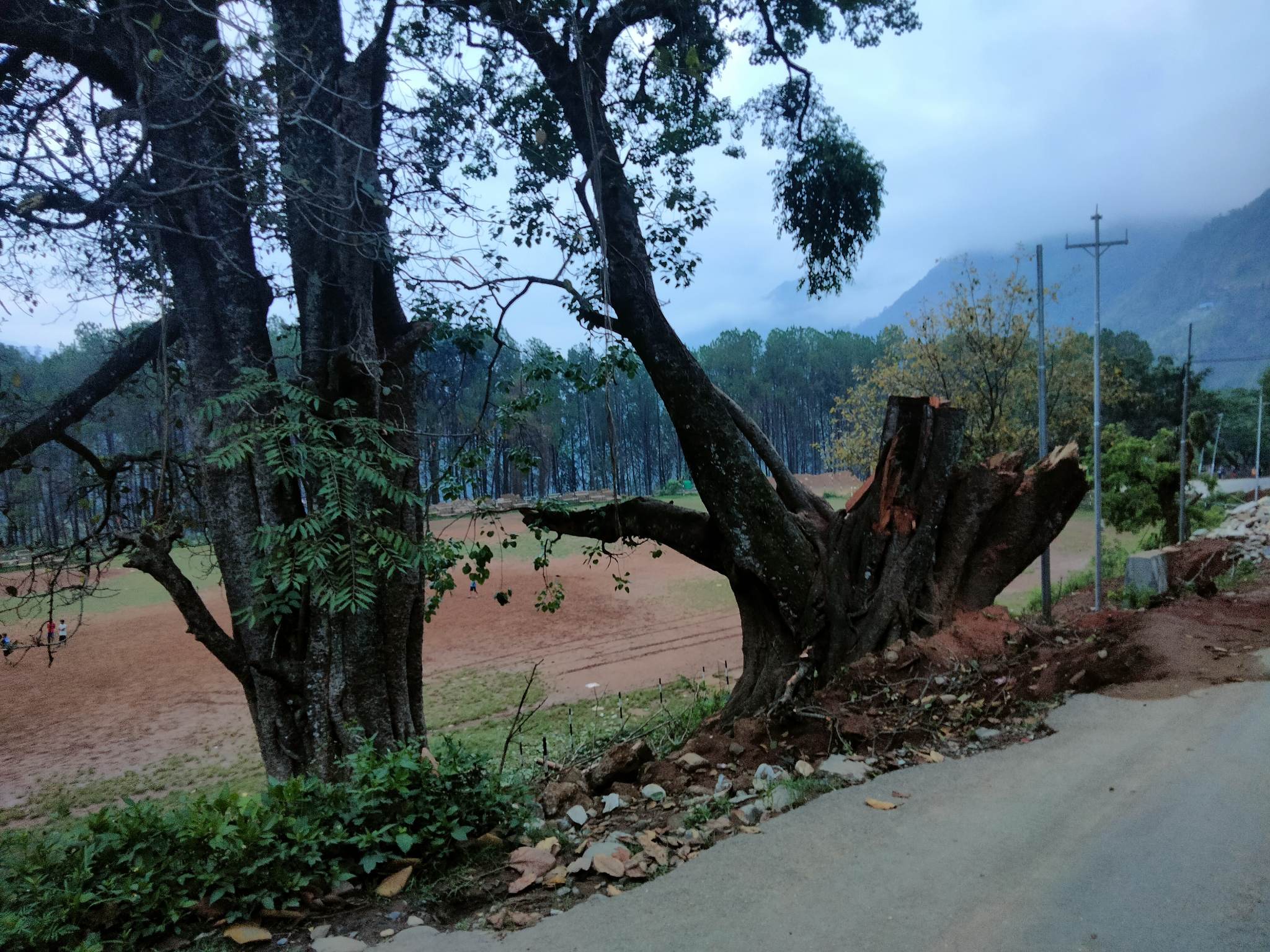 जैमिनी नगरले चौतारी, पोखरी र वर पीपल संरक्षण गर्ने