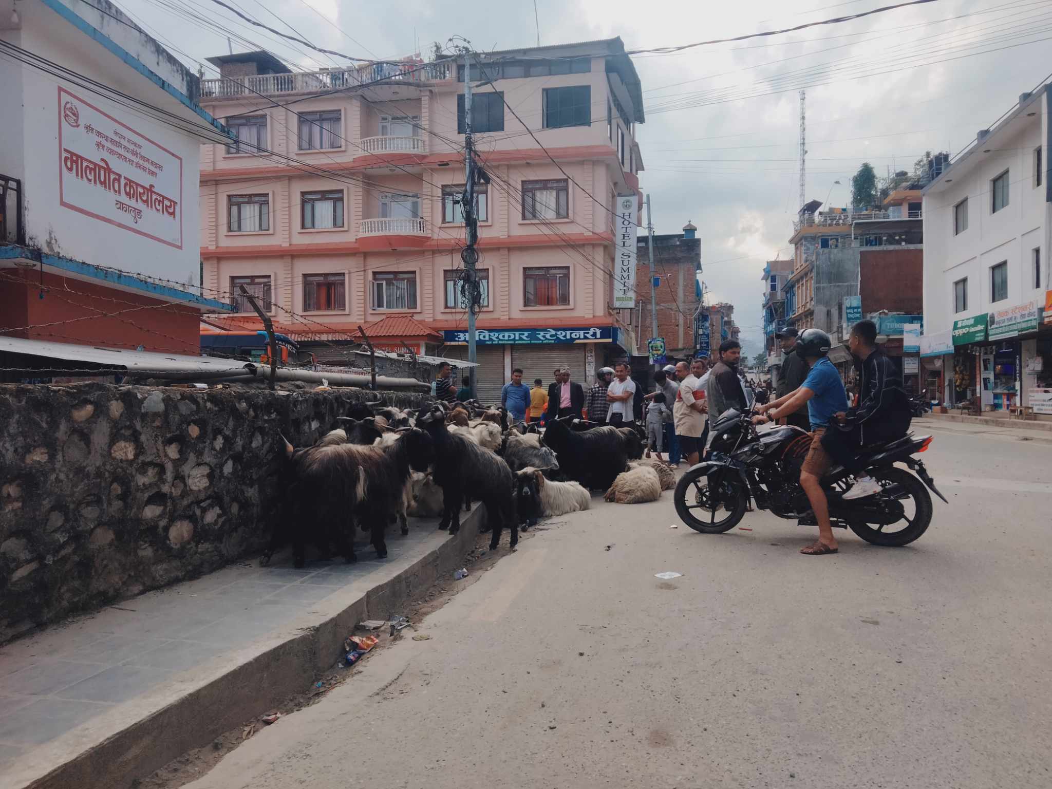 च्याङ्ग्राको मुल्य ५० हजारभन्दा बढी
