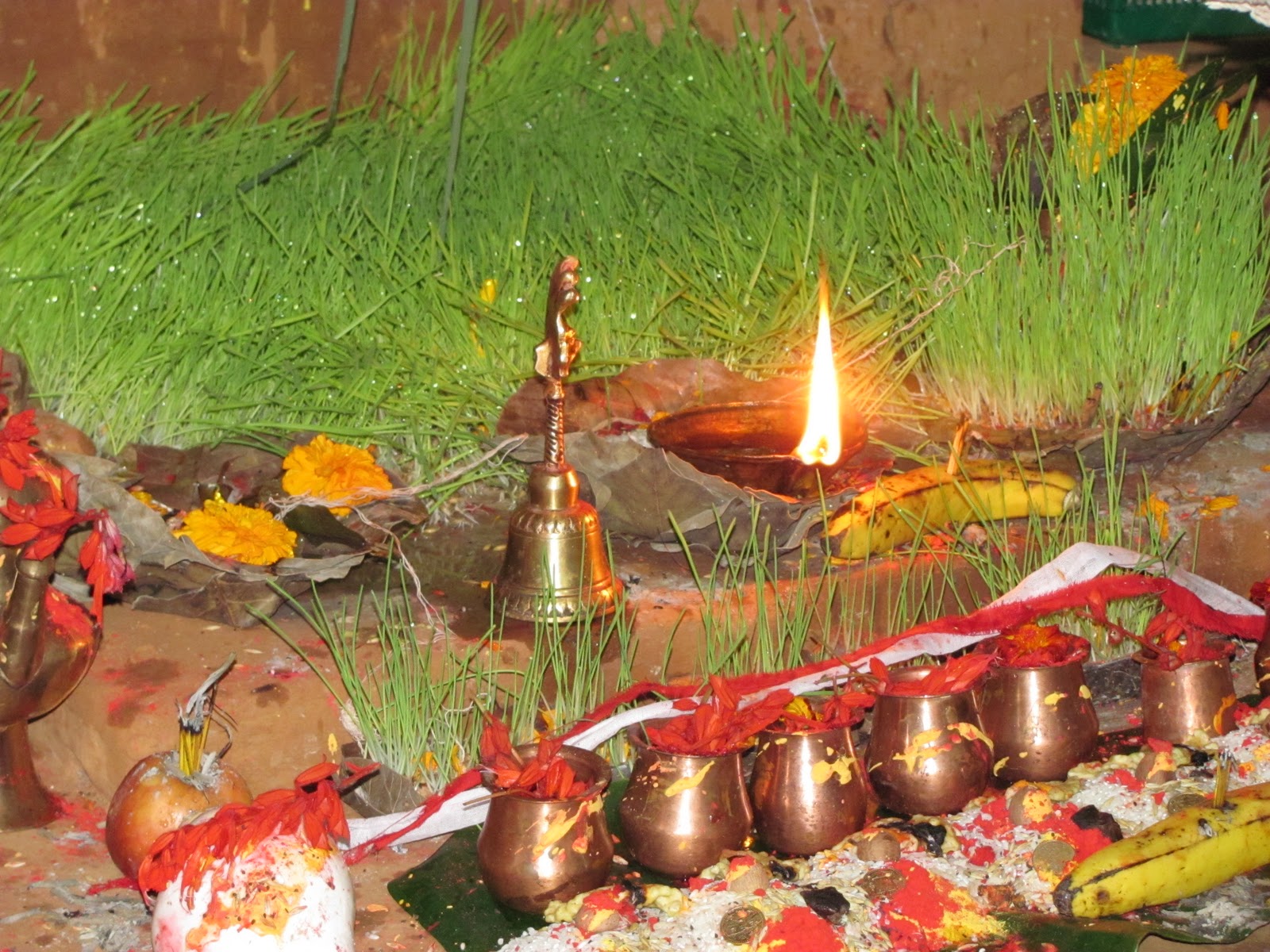 आज फूलपाती भित्र्याइँदै