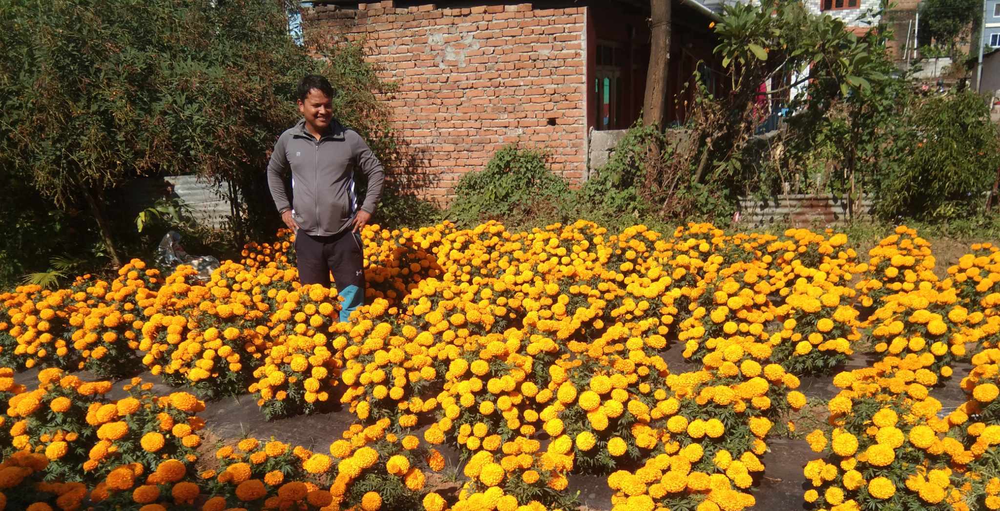 पुष्प व्यवसायमा भुवनको लोभलाग्दो लगाव